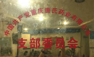 中國共產(chǎn)黨重慶唐氏藥業(yè)有限公司支部委員會